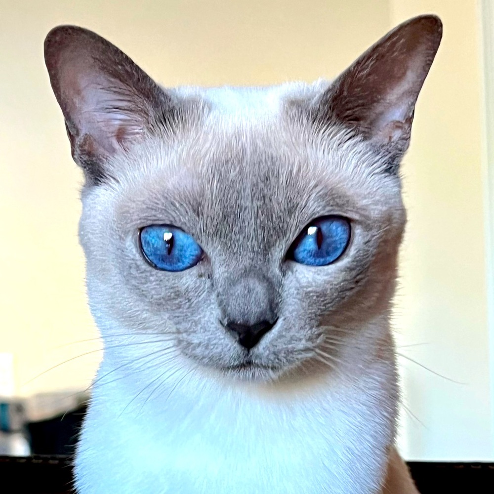 Meet your Posher, Alysia